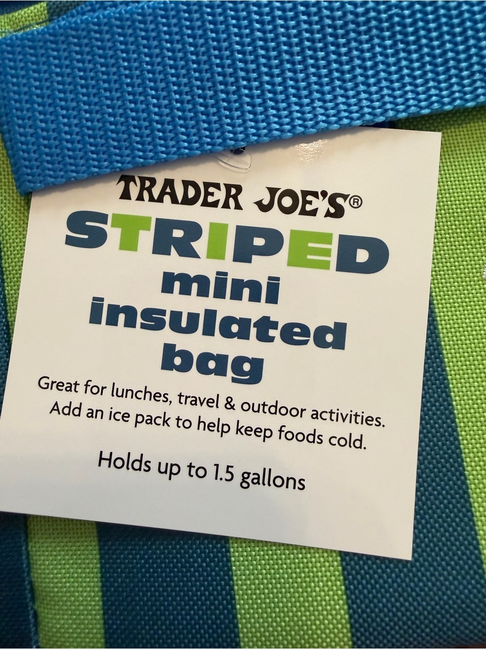 Trader Joe's Blue and Green Striped Mini Insulated Bag - Picture 2 of 3